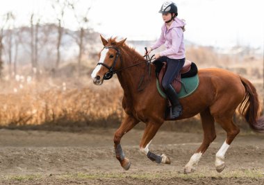 Genç güzel kız ata biniyor.