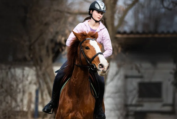 Jeune Jolie Fille Chevauchant Cheval — Photo