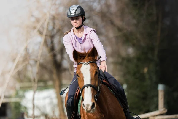 Gadis Cantik Muda Menunggang Kuda — Stok Foto