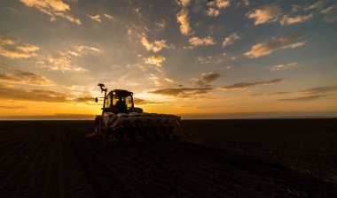 Traktör tohumu eken bir çiftçi. Tarım tarlasına ekin ekiyor. Bitkiler, buğday.