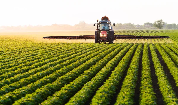 Trattore Che Spruzza Pesticidi Sul Campo Soia Con Spruzzatore Primavera — Foto Stock