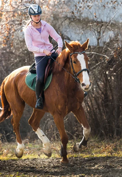 Joven Chica Bonita Montando Caballo —  Fotos de Stock