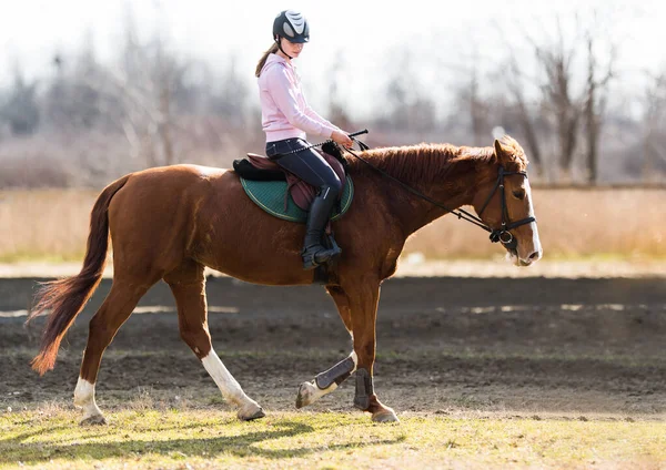 Jeune Jolie Fille Chevauchant Cheval — Photo