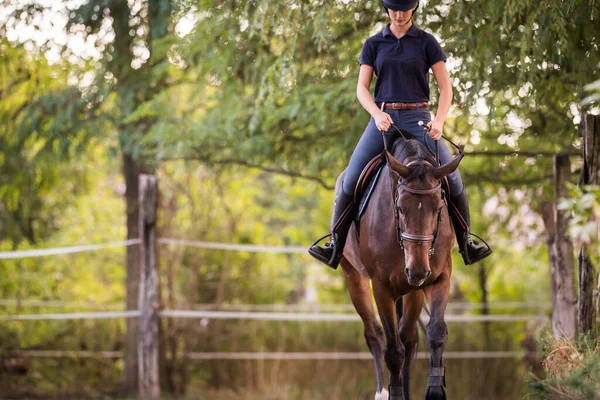 Jovem Menina Bonita Montando Cavalo — Fotografia de Stock