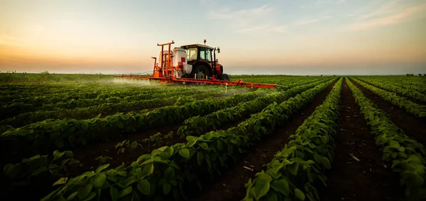 Trekker Sproeien Van Pesticiden Soja Veld Met Sproeier Voorjaar — Stockfoto