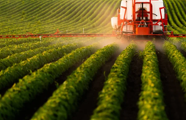 Traktor Som Sprutar Bekämpningsmedel Sojabönor Fält Med Spruta Våren — Stockfoto