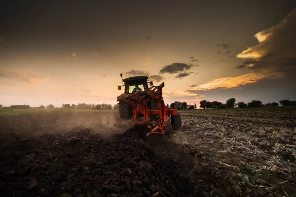 Traktor Orá Pole Večer Při Západu Slunce — Stock fotografie