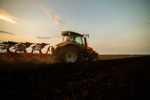 Traktor Pflügt Abends Bei Sonnenuntergang Das Feld — Stockfoto