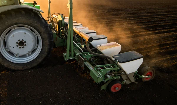 Petani Dengan Penanaman Traktor Menanam Tanaman Lahan Pertanian Tanaman Gandum — Stok Foto