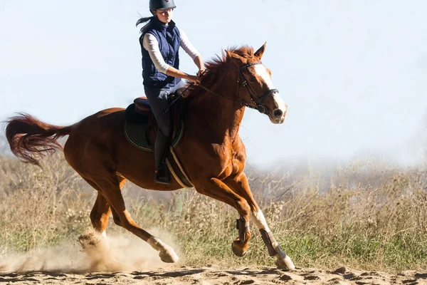 Jeune Jolie Fille Chevauchant Cheval — Photo