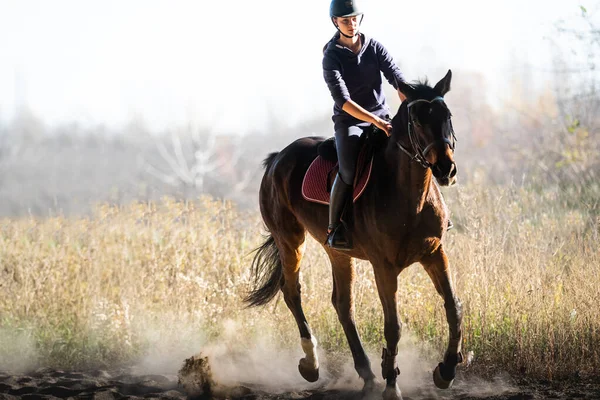 Jeune Jolie Fille Chevauchant Cheval — Photo