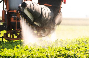 Traktör baharda soya tarlasına böcek ilacı püskürtüyor.