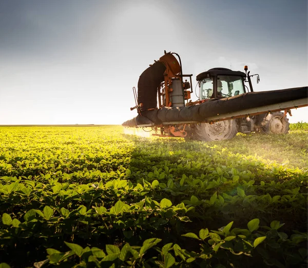 Traktor Versprüht Frühjahr Pestizide Auf Sojabohnenfeld Mit Sprüher — Stockfoto