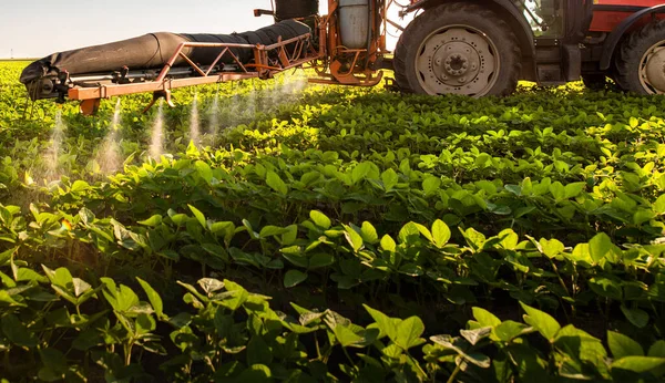 Traktor Postřik Pesticidy Poli Sóji Rozprašovačem Jaro — Stock fotografie