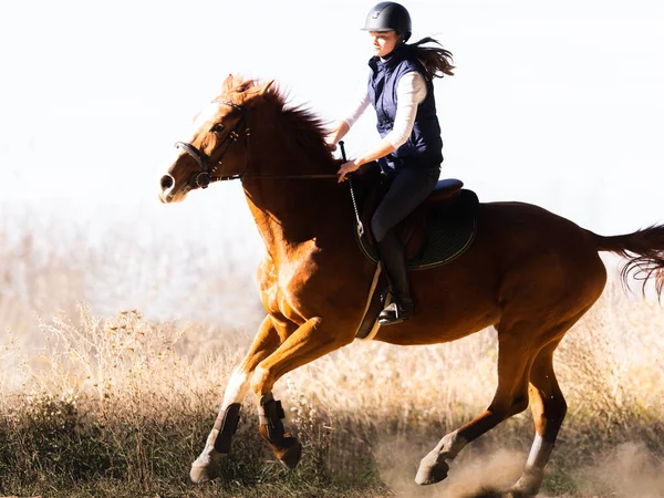 Jeune Jolie Fille Chevauchant Cheval — Photo