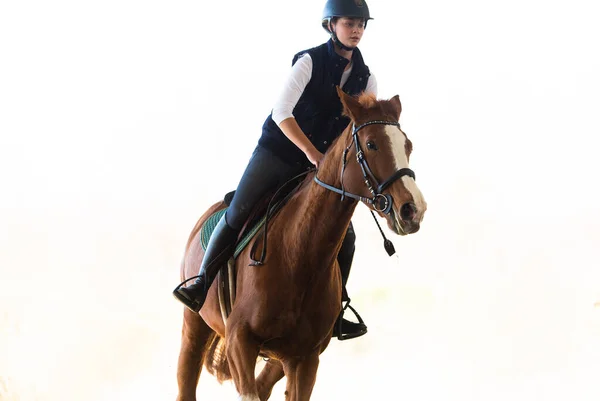 Junges Hübsches Mädchen Reitet Ein Pferd — Stockfoto