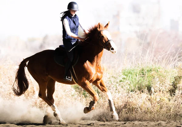 Jovem Menina Bonita Montando Cavalo — Fotografia de Stock