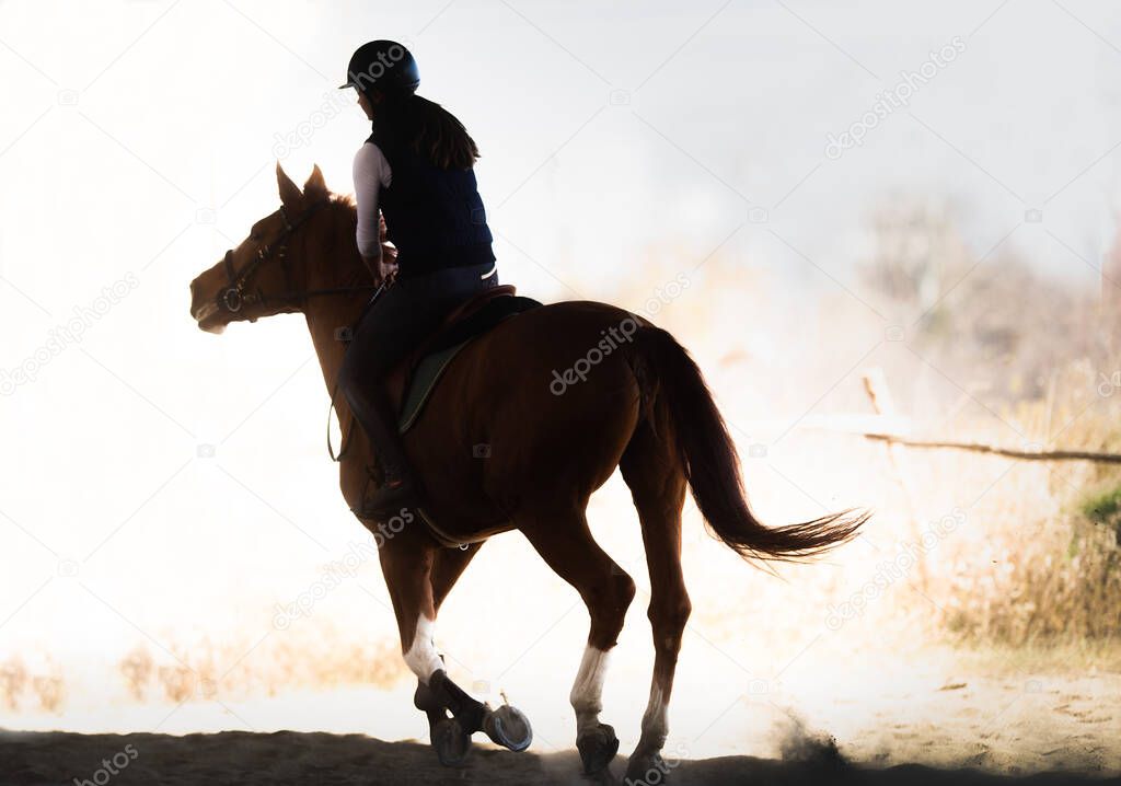 Young pretty girl riding a horse