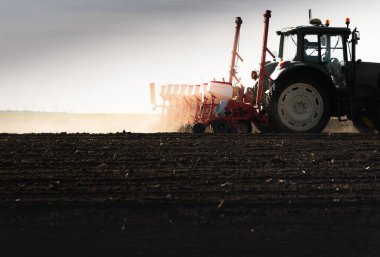 Traktör tohumu eken bir çiftçi. Tarım tarlasına ekin ekiyor. Bitkiler, buğday.