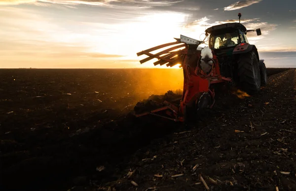 Traktor Pflügt Abends Bei Sonnenuntergang Das Feld — Stockfoto