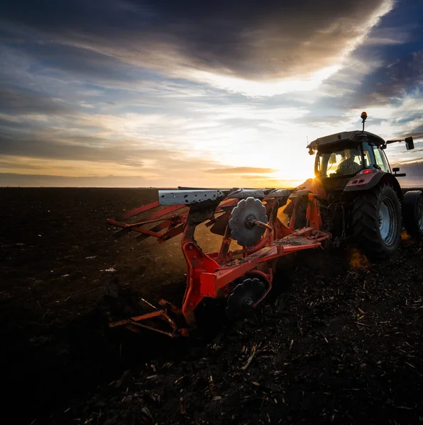 Traktor Plogar Fältet Kvällen Vid Solnedgången — Stockfoto