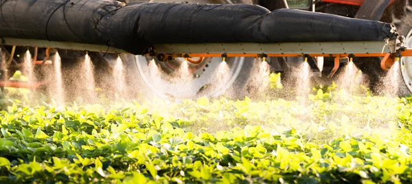 Traktor Penyemprotan Pestisida Lahan Kedelai Dengan Penyemprot Musim Semi — Stok Foto