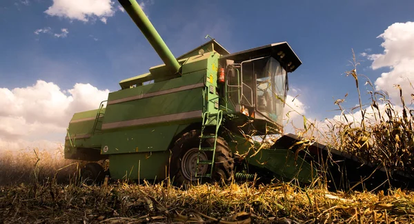 Combineer Oogstmais Bij Schemering — Stockfoto