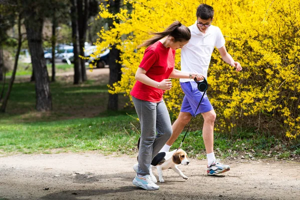 Jong Gelukkig Paar Lopen Park Met Een Hond — Stockfoto