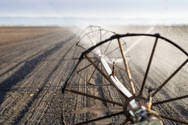 轮式洒水系统在肥沃的农田里灌溉农田 — 图库照片