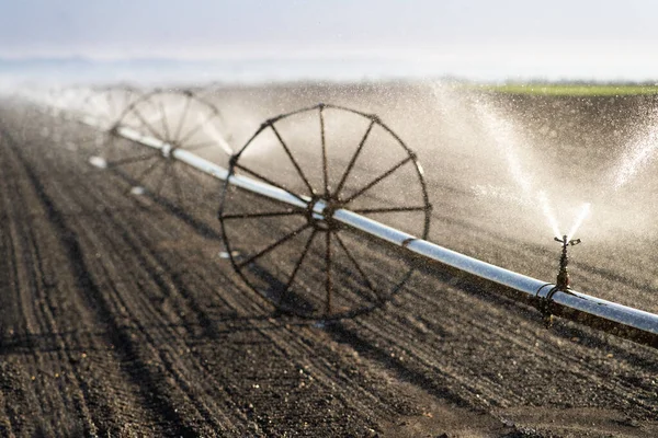 Wheel Line Sprinkler Irrigate Field Fertile Farm Fields — Stock Photo, Image