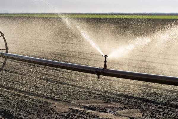 ホイールラインスプリンクラーは肥沃な農場のフィールドに灌漑します — ストック写真