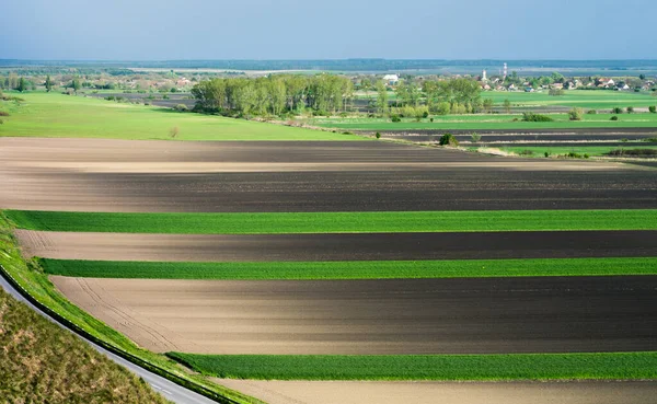Young Green Wheat Striped Ploughed Field Springtime Aerial Drone View — Stock Photo, Image