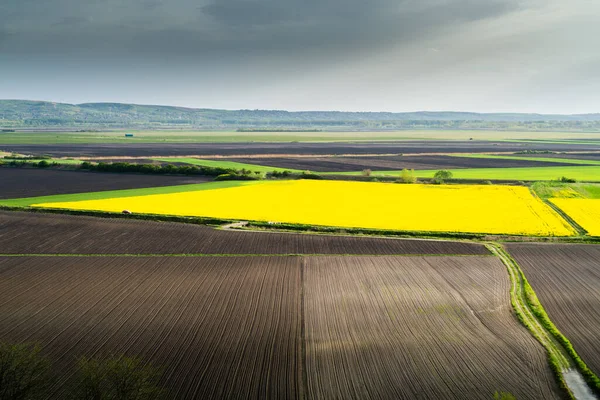 Champ Colza Près Champ Labouré Rayé Printemps Vue Aérienne Drone — Photo