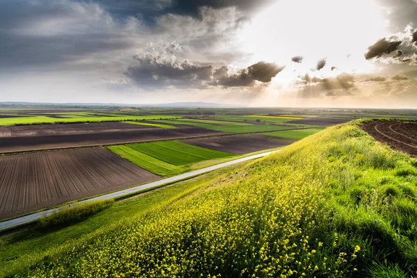 Jeune Blé Vert Près Champ Labouré Rayé Printemps Vue Aérienne — Photo