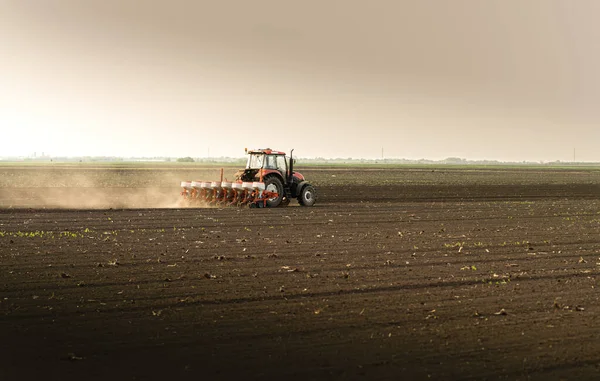 Traktör tohumu olan çiftçi - ilkbaharda tarım tarlalarına ekin ekiyor.