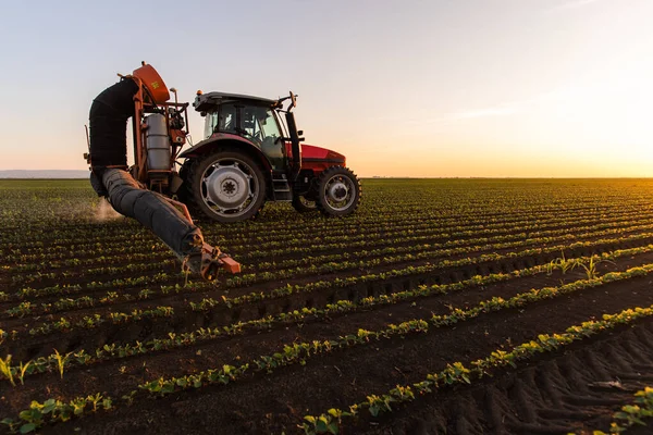 Pulvérisation Pesticides Par Tracteur Sur Champ Soja Avec Pulvérisateur Printemps — Photo