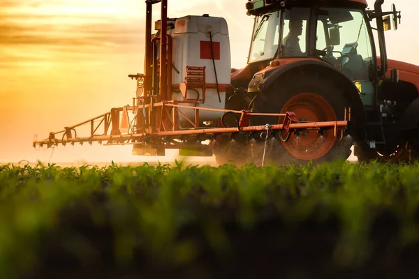 Traktor Versprüht Frühjahr Pestizide Auf Maisfeld Mit Sprüher — Stockfoto