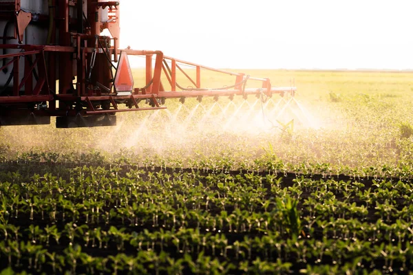 Traktor Versprüht Frühjahr Pestizide Auf Sojabohnenfeld Mit Sprüher lizenzfreie Stockfotos