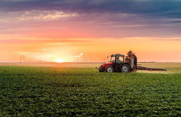 拖拉机在春天在大豆田用喷雾器喷洒农药 — 图库照片