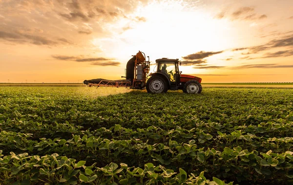 春の大豆畑に噴霧器で農薬を散布トラクター ストック画像