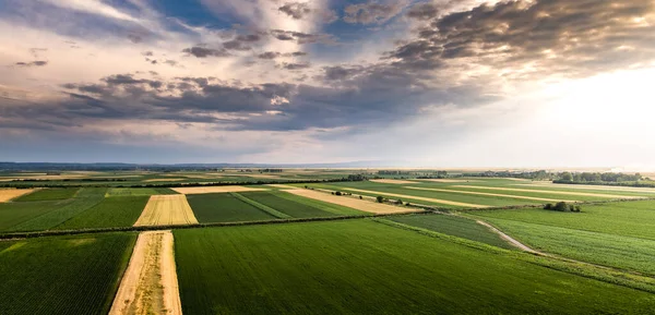 多くの農業分野の風景幾何学的質感と空中ビュー — ストック写真