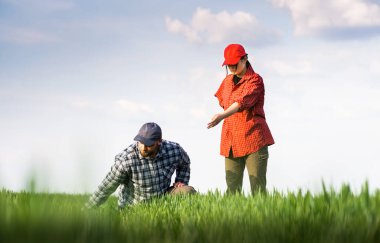 Genç çiftçilerin ekili incelenirken buğday alanları