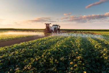 Traktör baharda sebze tarlasına böcek ilacı püskürtüyor.