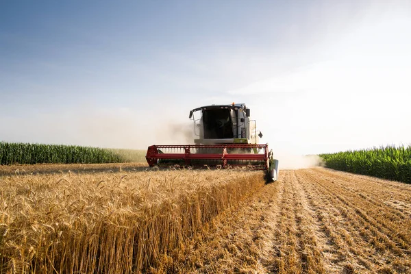 Una Cosechadora Que Trabaja Campo Trigo — Foto de Stock