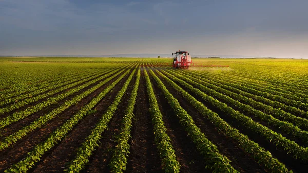 Traktor Som Sprutar Bekämpningsmedel Sojabönor Fält Med Spruta Våren — Stockfoto