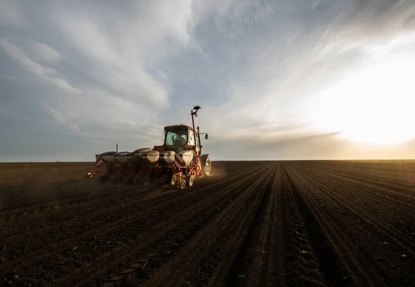 Traktör Tohumu Olan Çiftçi Ilkbaharda Tarım Tarlalarına Ekin Ekiyor — Stok fotoğraf