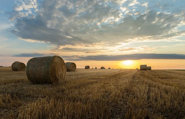 Stubble Field Hay Bales Summer Sky — Stock Photo, Image