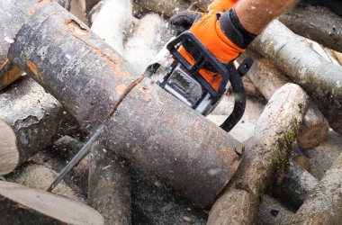 worker cuts firewood with a chainsaw