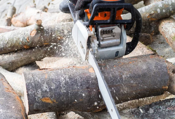 Worker Cuts Firewood Chainsaw — Foto de Stock