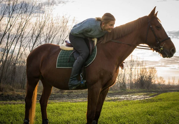 Beautiful Young Woman Riding Brown Horse Field —  Fotos de Stock